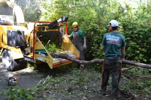 tree services Rising Sun-Lebanon